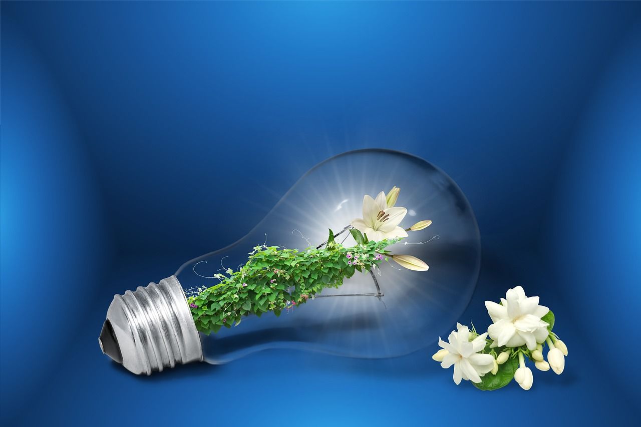 Bakın Hangi Üniversite Düşük Isı İle Yenilenebilir Enerji Üretiyor ?